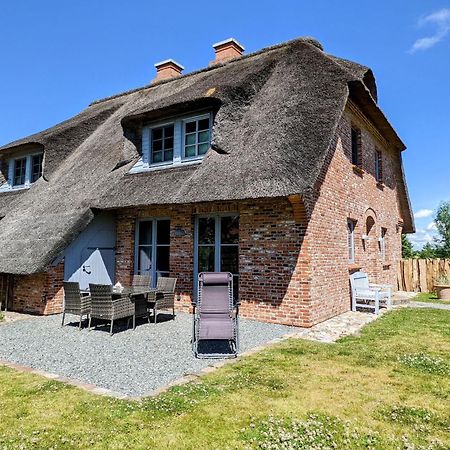 Kleine Lachmoewe Sankt Peter-Ording Exteriör bild